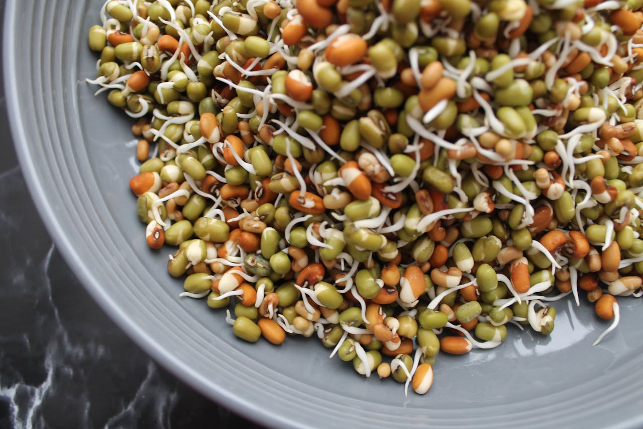Vibrant close-up of mixed bean sprouts filling a modern bowl.